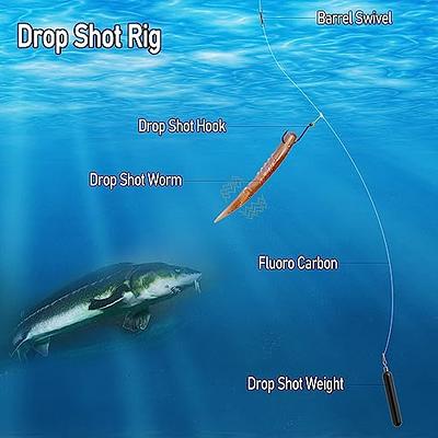 Dr.Fish 6 Pack Soft Plastic Lures for Bass Fishing, 4.3 Drop Shot Baits  with Glass Rattle, Drop Shot Worms Soft Swimbait Straight Tail Worm Bait  Ned Rig Bait Trout Pike Perch Freshwater 