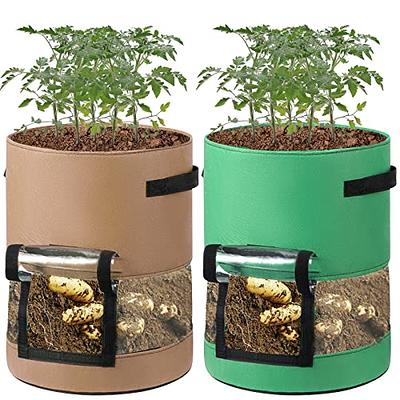 10 Gallon Grow Bags, Grow Bag 10 Gal, Fabric Pots 10 Gallon, Fabric  Planters Grow Bags 10 Gallon, 10 Pack Plant Bags for Planting, Aeration  Fabric