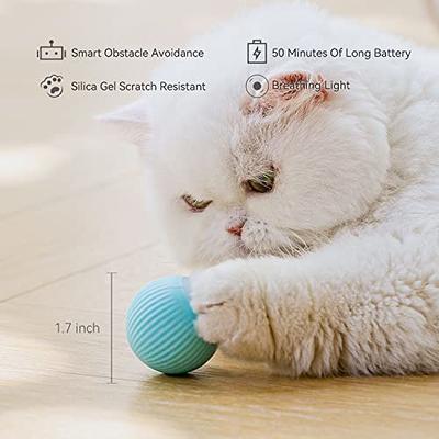 Smart Ball Cat Toy