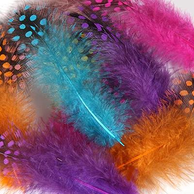 THARAHT 240pcs Mix Colour Spotted Small Natural Bulk Feathers 2-3 Inches  for for Sewing Crafts Clothing Jewelry Wedding Hair Hats Dream Catcher  Decoration Guinea Fowl Feathers - Yahoo Shopping