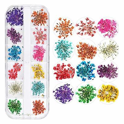 3D Nail Dried Flowers Sticker Set CHANGAR Real Dried Flowers for Nail Art &  Resin Craft DIY Five Petal Flower Leaf Gypsophila Dry Flower Nail Art  Decoration Kits(2 Boxes) - Yahoo Shopping