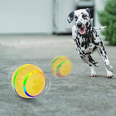 Kirisima Interactive Dog Balls Toys Active Rolling Ball for Dogs