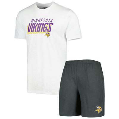 Pro Standard Purple Minnesota Vikings Hometown Collection T-Shirt