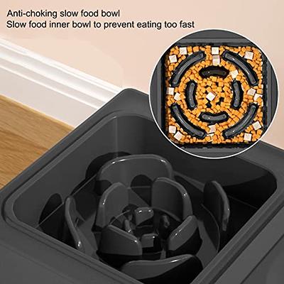 2-in-1 Elevated Raised Dog Bowl