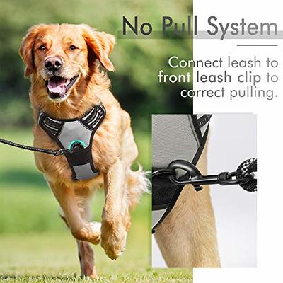 rabbitgoo Dog Harness, No-Pull Pet Harness with 2 Leash Clips, Adjustable  Soft Padded Dog Vest, Reflective No-Choke Pet Oxford Vest with Easy Control