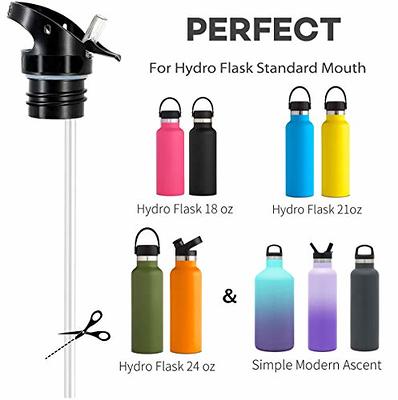 Hydro Flask 24 oz. Elevate Series Wide Mouth Bottle with Straw Lid