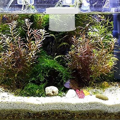 ULTECHNOVO 2pcs Box Fish Tank Isolation Box Small Container Fish