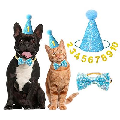 IDOLPET Dog Cat Birthday Hat Dog Cat Girl Boy Birthday Party Hat with Cute  Bow Tie for Small Medium Puppies Dogs Cats Dog Wedding Collar Outfit (Blue)  - Yahoo Shopping