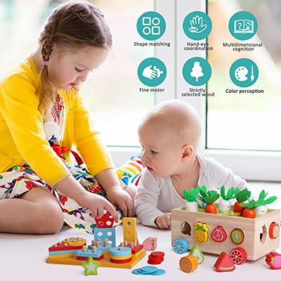 BEAUAM Toddlers Montessori Educational Toys for Boys 2 3 4 Year