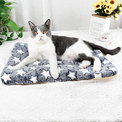 Catstages Jungle Mat Cat Activity Play Mat Cat Toy