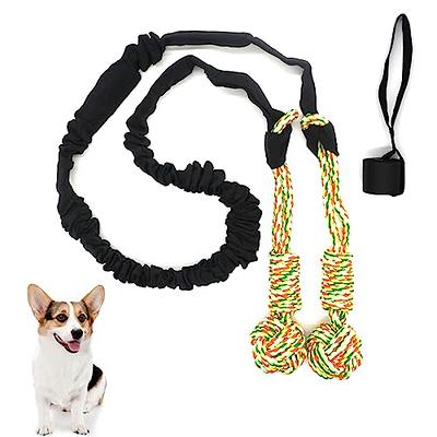 IFOYO Dog Outdoor Bungee Hanging Toy, Spring Pole Dog Rope Toys for Bite  Training, Pull Exercise
