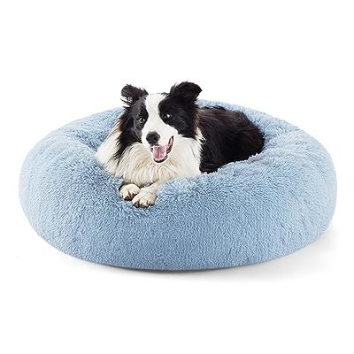 Blue Philadelphia 76ers Medium Pet Nap Cap Dog Bed