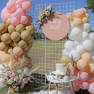 Pink Baby Shower Balloon Arch, Baby in Bloom, Baby Shower