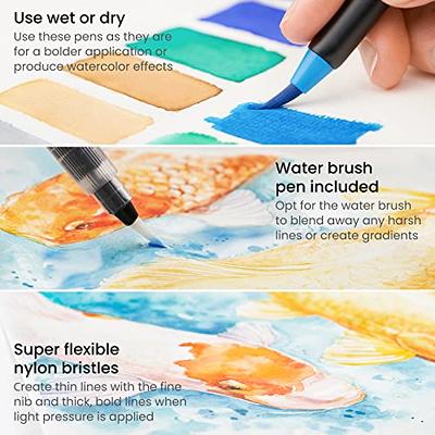 Arteza Real Brush Pens, 12 Paint Markers with Flexible Brush Tips, Professional