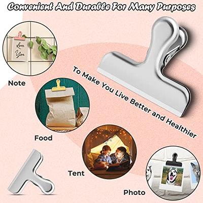 Prasacco 10 Pieces Food Bag Clips, Bag Clips for Food Storage Plastic Bag  Clips for Kitchen Snack Sealing Bag Clips Colorful Food Storage Clips for