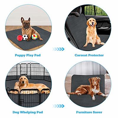 LOOBANI 2 Packs Extra Large Reusable Dog Mat for Floor, Non-Slip Washable  Pee Pads for Dogs, Fast Absorbent Pet Whelping Pads, Puppy Playpen Mat for