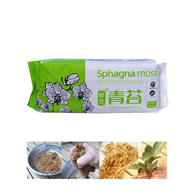 B/A Sphagnum Moss for Orchids - Green Dry Sphagnum Moss, Dried Water Moss