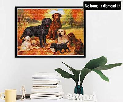 RICUVED 2 Pack Diamond Painting Frames Frames for Diamond Painting