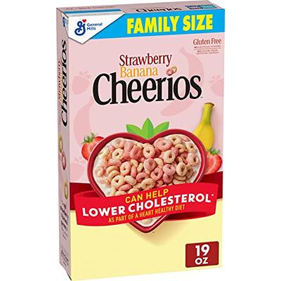 General Mills Honey Nut Cheerios Family Size Cereal, 18.8 oz