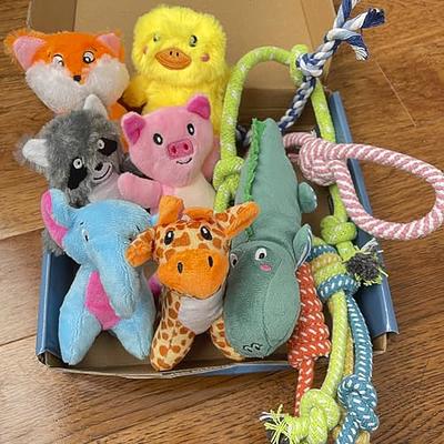 Chngeary Dog Toys for Small Medium Large Dogs, Squeaky Plush Dog Toys + Interactive  Dog Toys + Dog Rope Toys Multi Function Cute Monkey Puppy Toys for Pets -  Yahoo Shopping