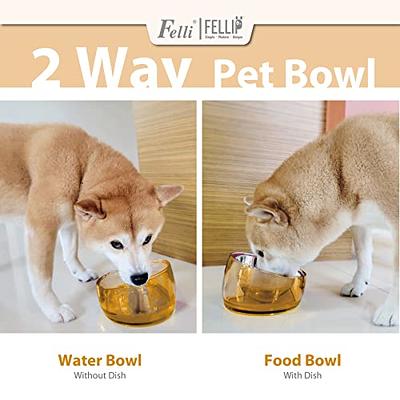 Tilted Cat Food Bowls No Spill Raised Cat Food Bowl Ergonomic Feeding  Station