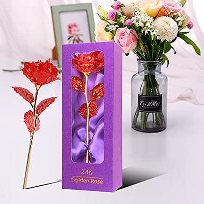 Birthday Gifts for Women Gifts for Her Gift Box Gift Ideas for Girlfriend  Mom Female Friends Teenage Girl Best Friend Grandma 50th Birthday Gifts for