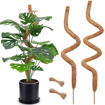 Moss Plant Pole, Plant Sticks Support, Bendable Plant Stake, Handmade  Slim Moss Stick For Indoor Plants, Climbing Monstera Plants Growing Support