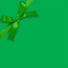 Green Matte Gift Wrap Colored - 30 X 417' - Gift Wrapping Paper by