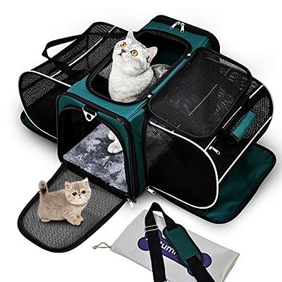 Sussexhome Pets Small Pet Carrier for Small Dogs and Cats - Waterproof Soft Pet Travel Bag with Clear Window - TSA Approved Pet Carrier for Cat Travel