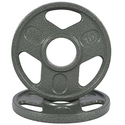Synergee 1 inch Cast Iron Weight Plates, 160lb - Set