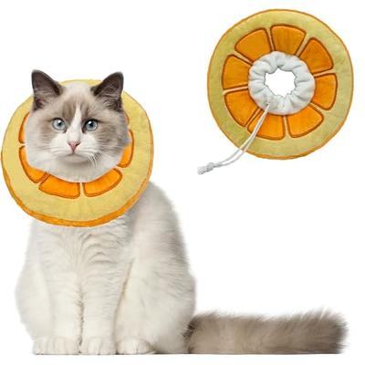 Toysructin Bird Cone Collars, Adjustable Pet Parrot Recovery