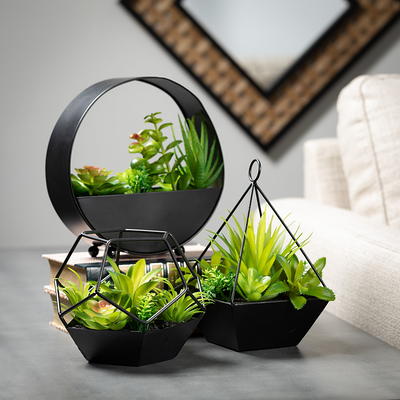 Sullivans Artificial Succulents In Pyramid Planters Set of 2, 9H Green - Yahoo  Shopping