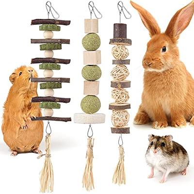 Boomcat Enrichment Foraging Toys,Puzzle Toys for Small Animals,Small pet  Interactive Mental,Hide Treats Puzzle Game Hamster,Rabbit,Bunny,Rat,Guinea