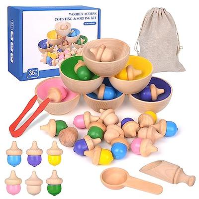 Montessori Wooden Color Sorting Toys - Sensory Toys Matching Game with  Sorting Bowls - Preschool Learning Educational Toddler Toys for 3+ Year Old  Boy and Girl Gifts - Yahoo Shopping