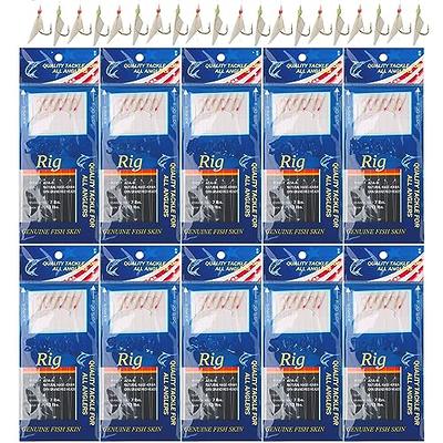 Fishing Bait Rigs Saltwater, 10Packs Surf Fishing Rigs with Fish