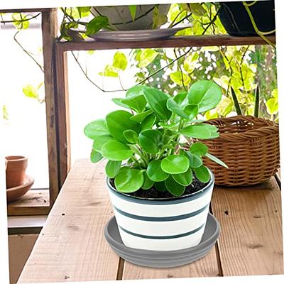 GANAZONO 3pcs Flower Pot Tray Mini Plants Plastic Flower Pot Mini Plant  Pots Round Plant Saucer Set Bonsai Water Base Plant Saucer Drip Trays  Balcony Flowerpot Trays Water Tray Platter Clay 