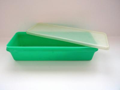 1970S Vintage Tupperware Celery Keeper - Small 2 Pc Plastic Green