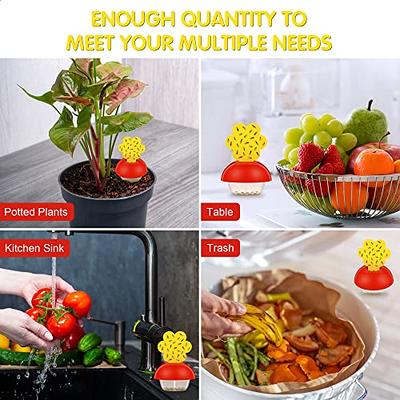 30PCS Fruit Fly Sticky Traps, Fungus Gnat Traps Insect Trap for Plants  Kitchen Indoor and Outdoor 