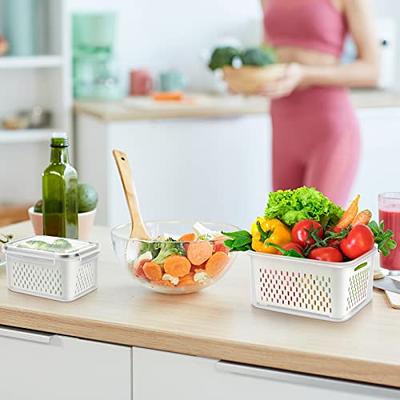 Vegetable Containers for Fridge,Food Saver Container Fruit Storage  Organizer BPA-Free Fresh Containers Refrigerator with Lid & Drain Basket  for Salad