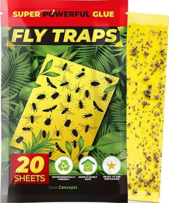 Fruit Fly Paper Sticky Strips Pest Control Traps Indoor - Temu