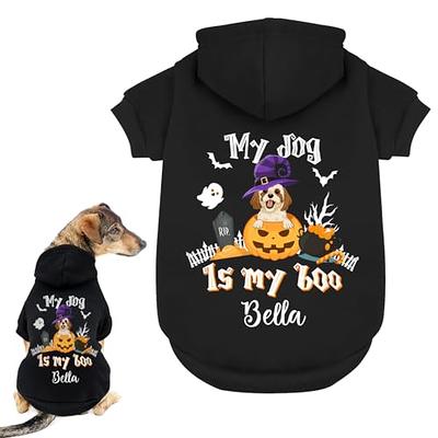  Fitwarm Hocus Pocus Y'All Funny Dog Halloween Tulle Dress,  Holiday Dog Clothes for Small Dogs Girl, Funny Pirate Skull Pet Costume,  Witch Cat Outfit, Orange, Black, Small : Pet Supplies