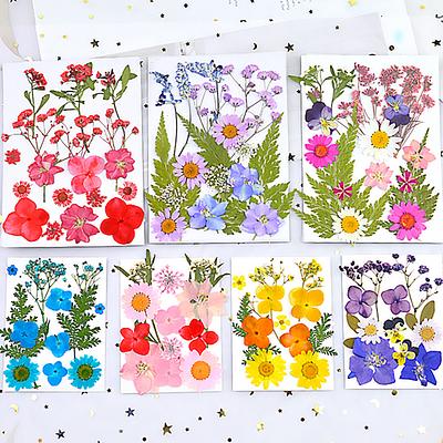 Bulk Dried Flowers For Resin Art & Cell Phone Case, Real Flowers