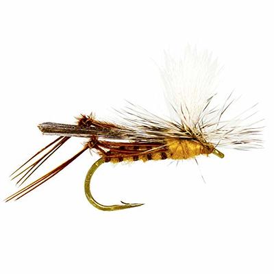 12 Pack Fly Fishing Flies Assortment Dry Bait Trout Fly Fishing