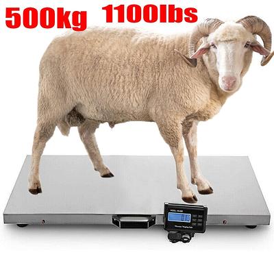 1100LB Pet Weight Heavy Duty Digital Livestock Platform Scale - Yahoo  Shopping