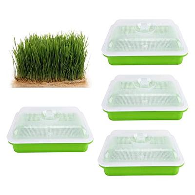 SuperSeed Seed Starting Tray, 36 Cell