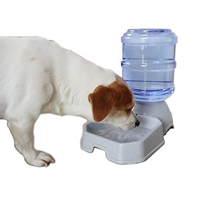 Uiifan 2 Pcs Pet 3 Gallon Large Dog Water Dispenser 11 Liters Dog Water  Bowl Dispenser