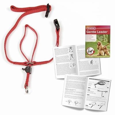 Bingo's Dog Head Collar Back Clip No Pull Halter for Medium Dogs, Nose Lead  to Control Pulling, Simple to Use Training Muzzle Leash, Adjustable Head