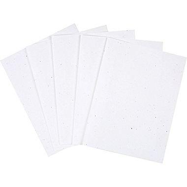 Staples Cardstock Paper 110 lbs 8.5 x 11 Ivory 250/Pack (49703) 