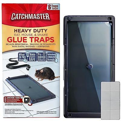 Black+decker Rat Trap Outdoor & Rat Traps Indoor – Mouse Traps Indoor for Home Instantly Kill Squirrel & Chipmunk Trap- Rodent Snap Trap, Touch Free