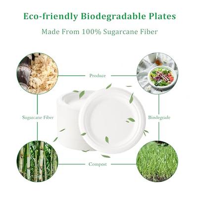 8.75 Compostable Paper Plate